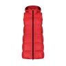 Rot