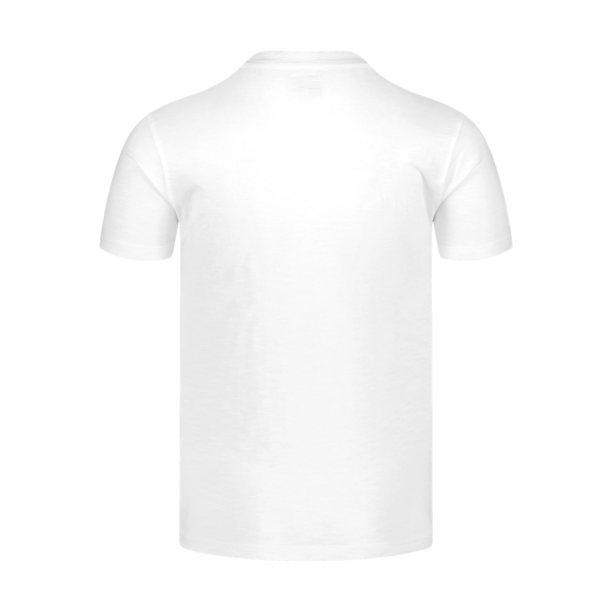 Cotton t-shirt men's - CAPITAL white – image 2