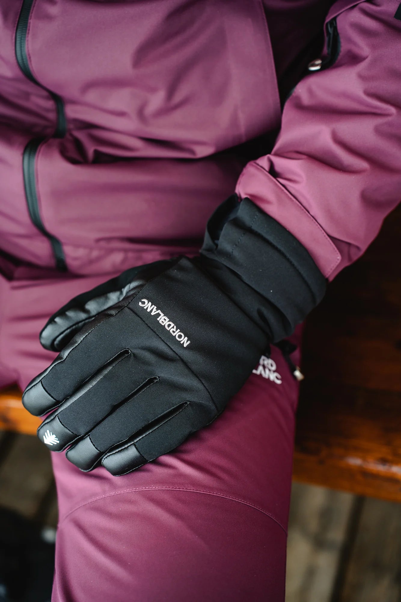 Ski- Handschuhe - ALPINE schwarz-2