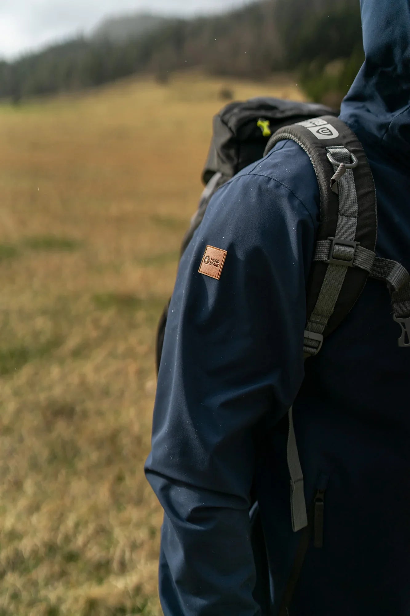 Waterproof outdoor jacket men's - PINE blue-5