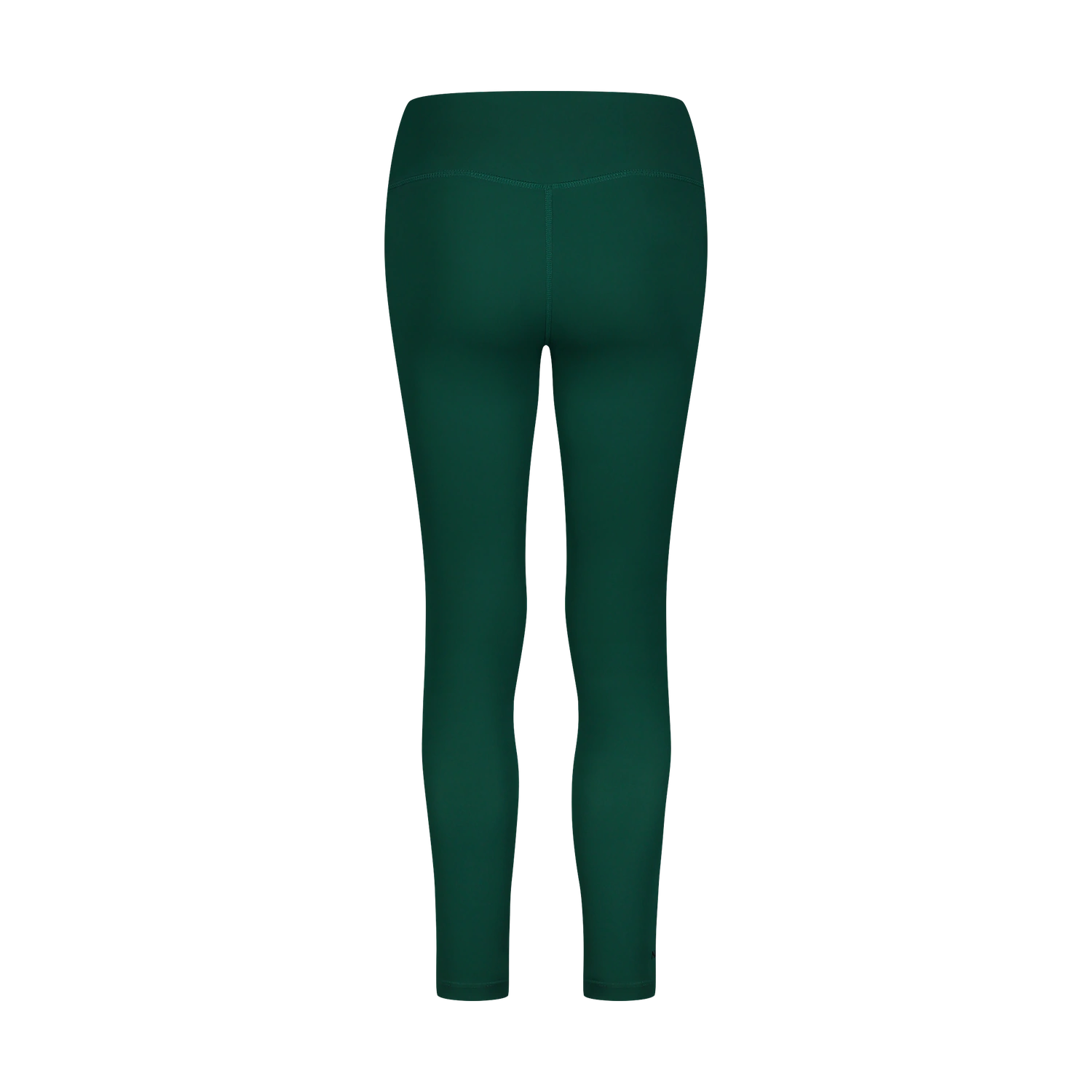Fitness leggings women's - STANDING green-5