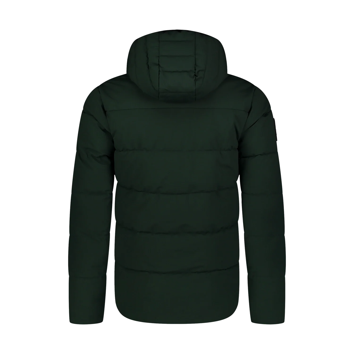 Winterjacke Herren - ORIENTING grün-3
