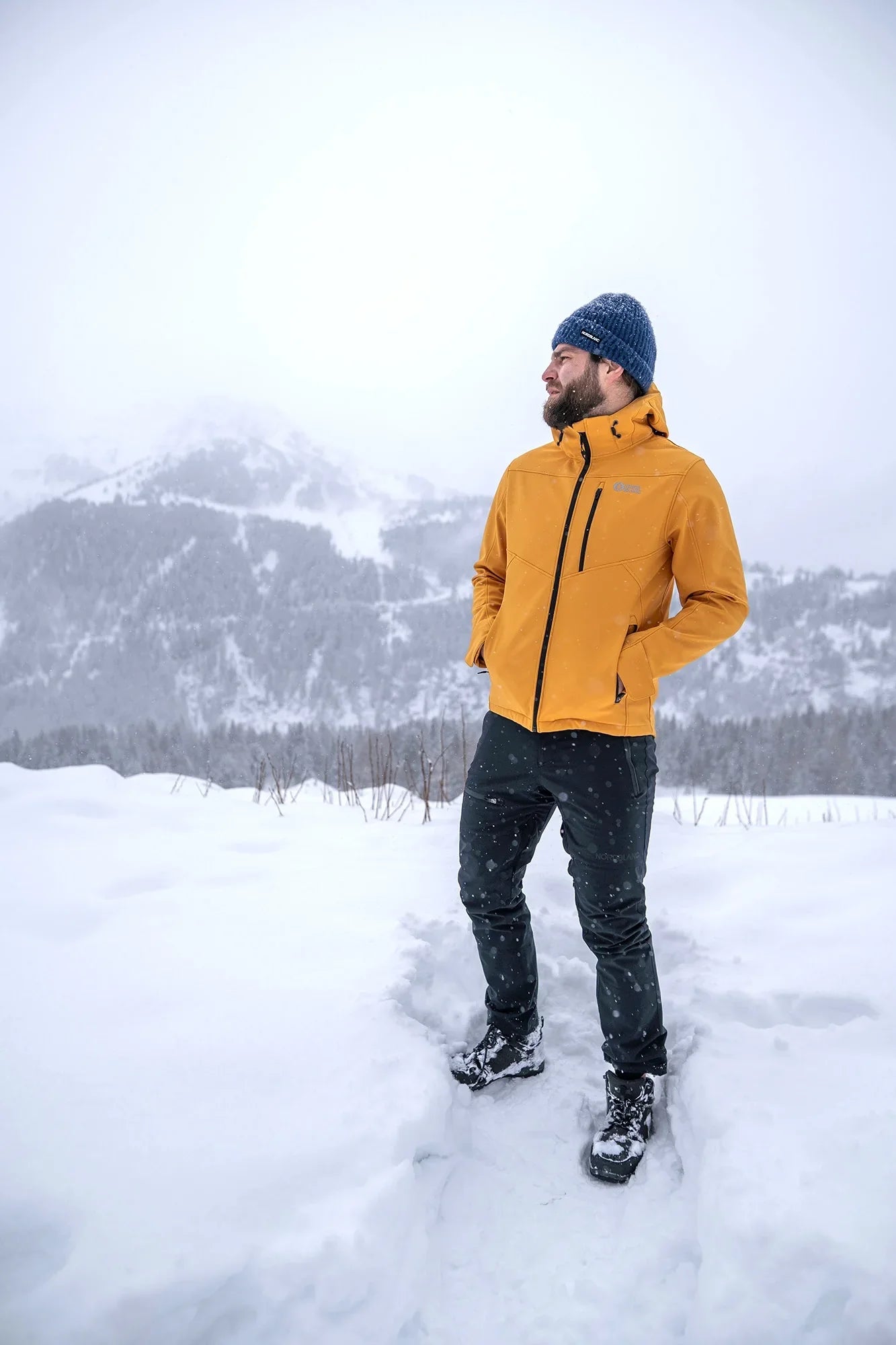 Softshell jacket with fleece men's - YEWTREE yellow-3
