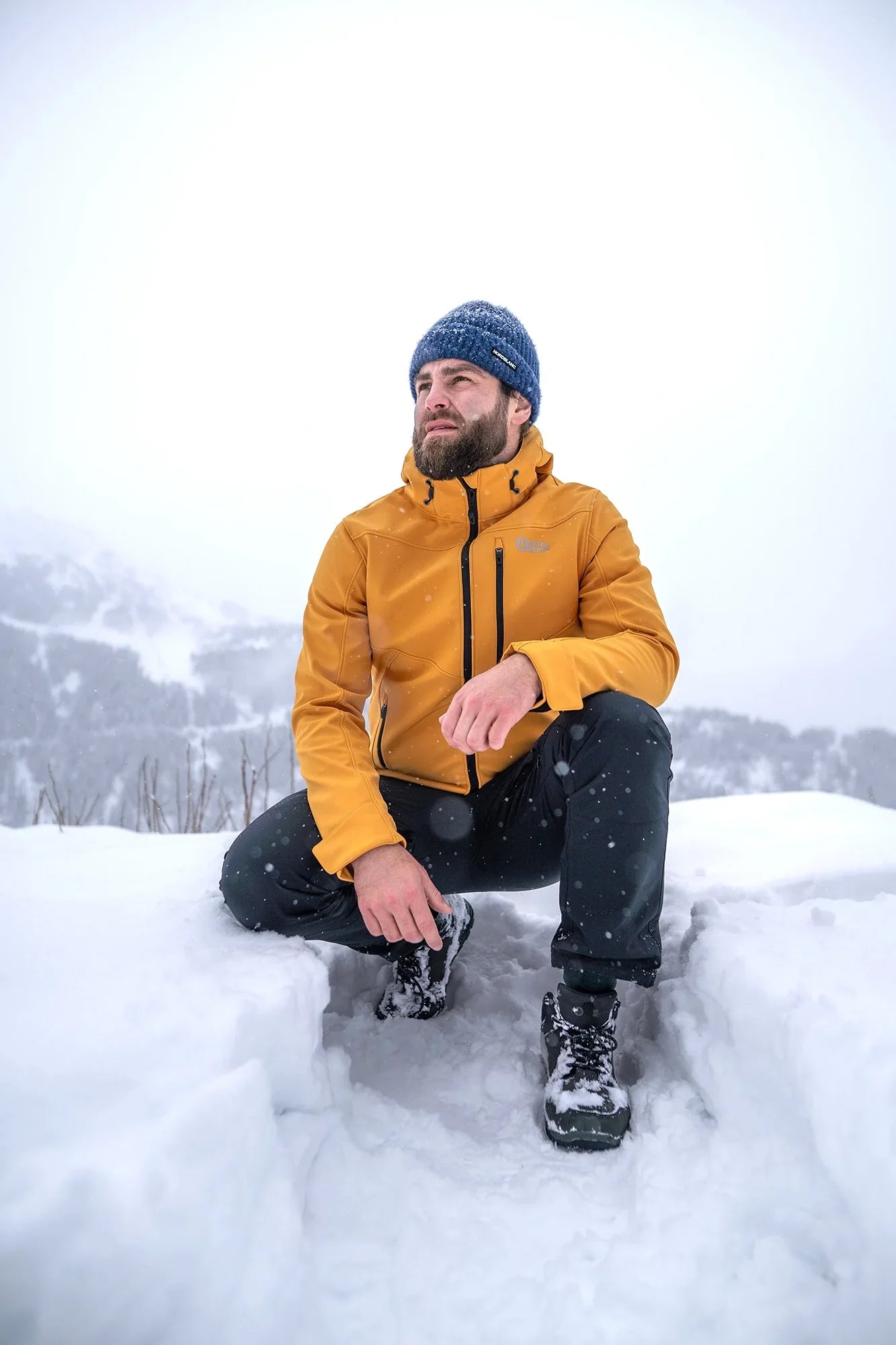 Softshell jacket with fleece men's - YEWTREE yellow-4