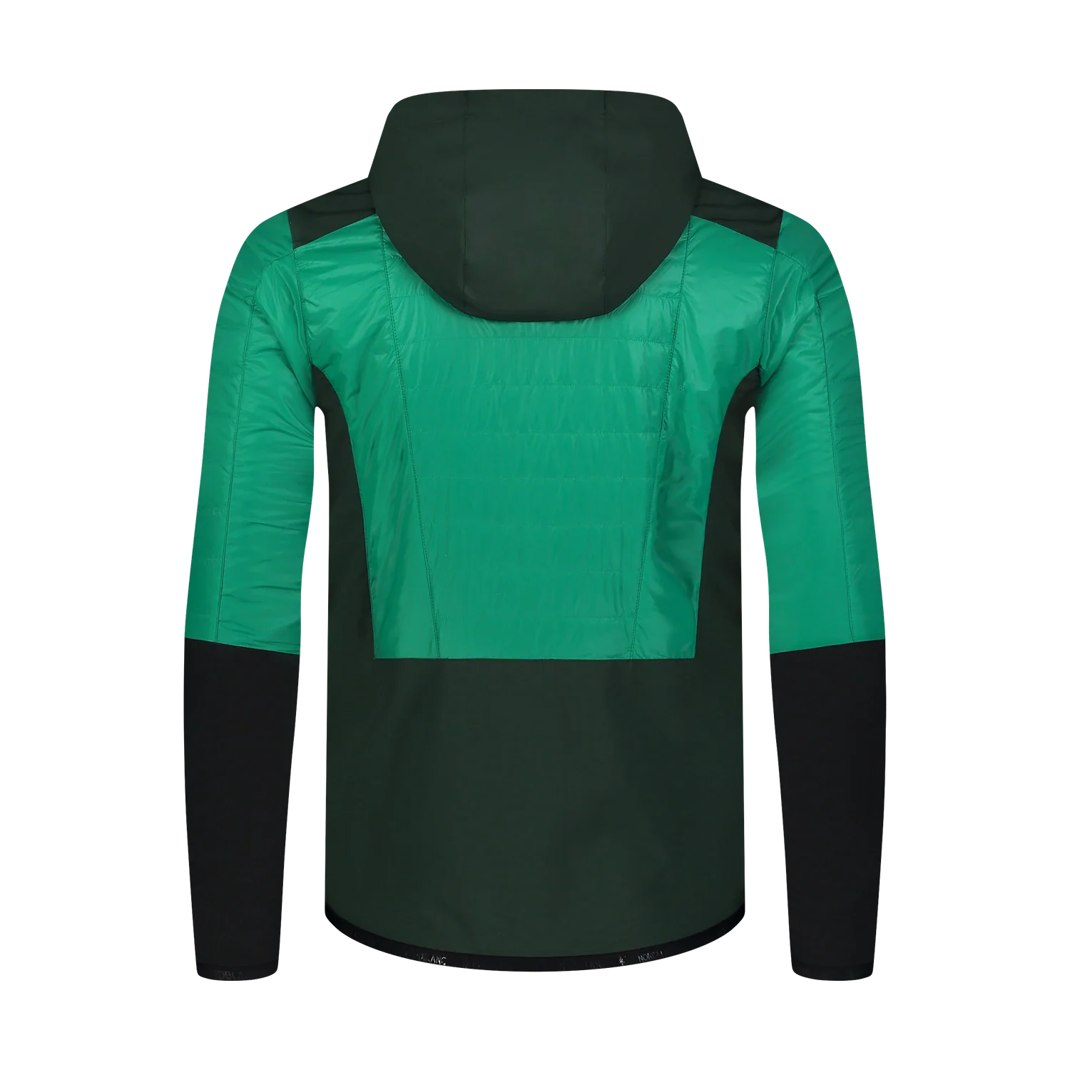 Sports jacket men's - SKIJORING green-10