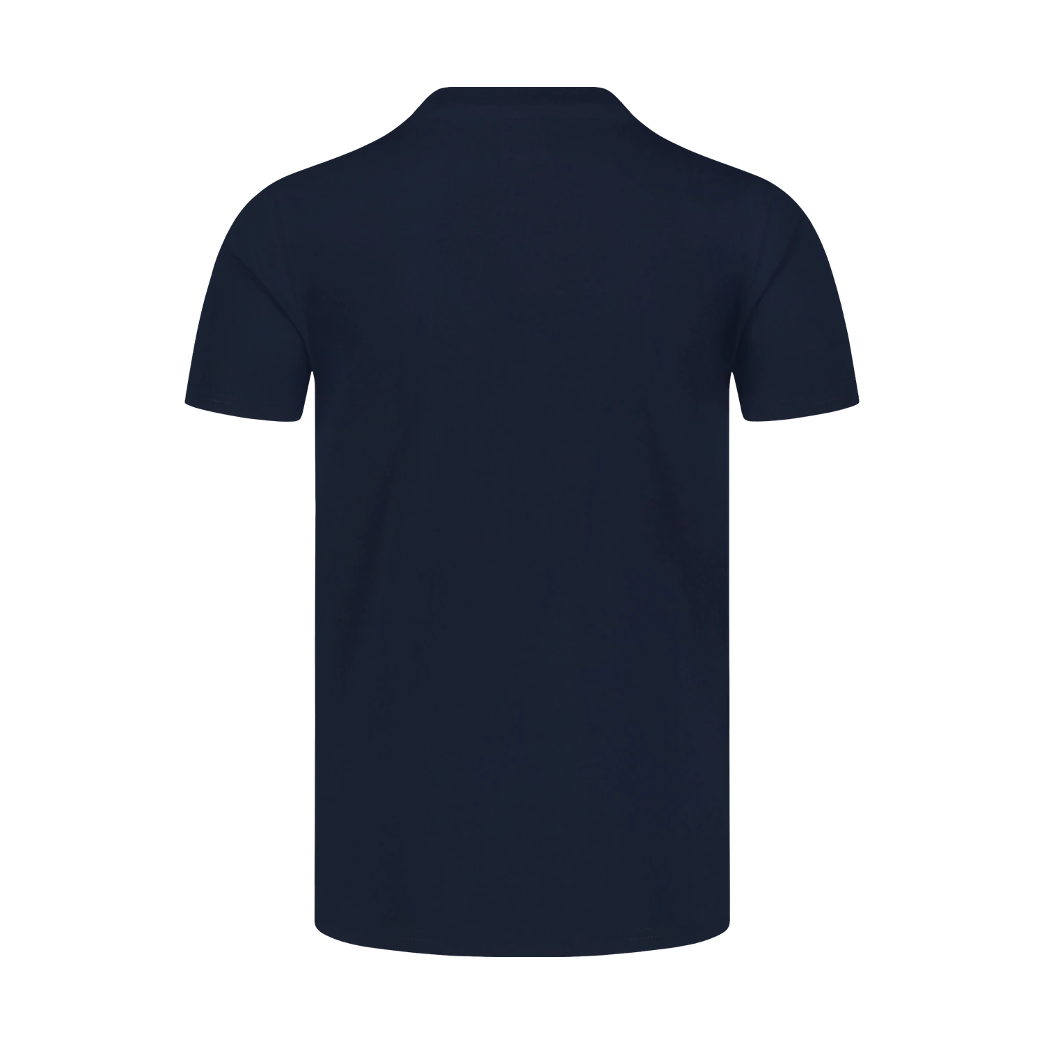 Cotton t-shirt men's - ALOHA blue-2