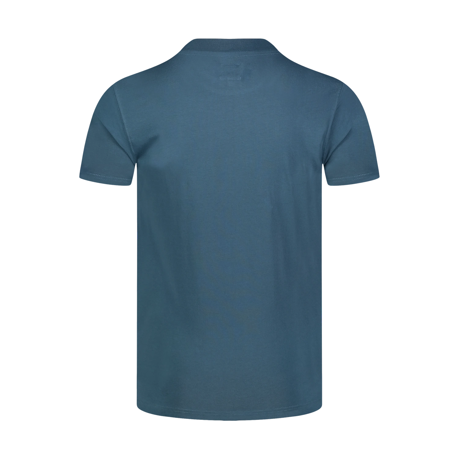 Bio-Baumwolle T-Shirt Herren - SUCCEED blau-2