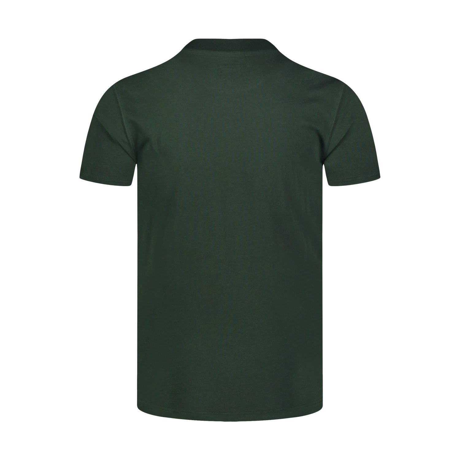 Organic cotton t-shirt men's - SUCCEED green-2