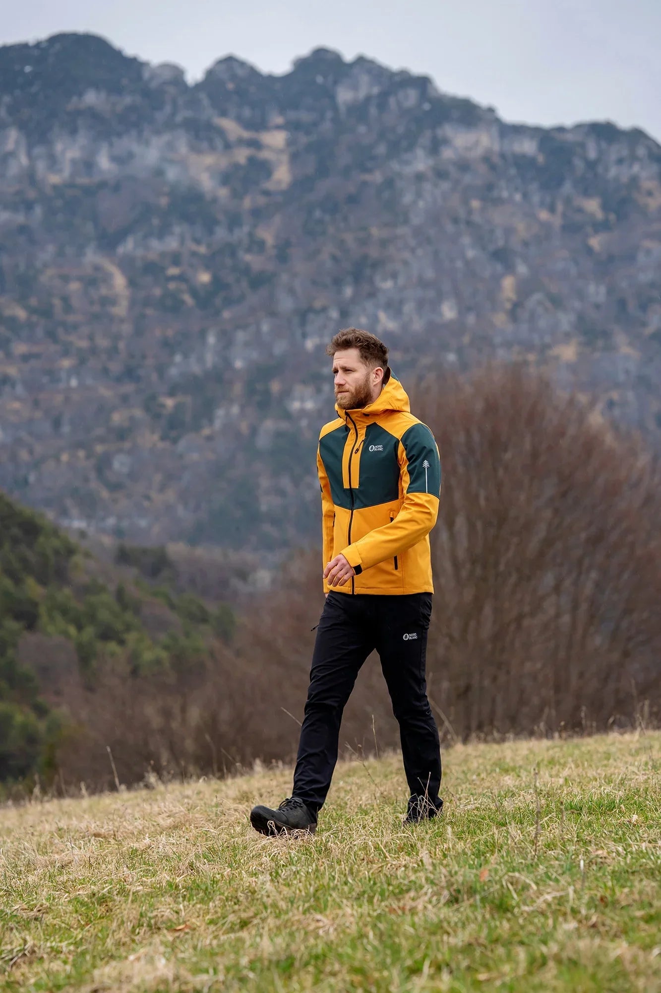 Waterproof light softshell jacket men's - WHISPERING yellow-5