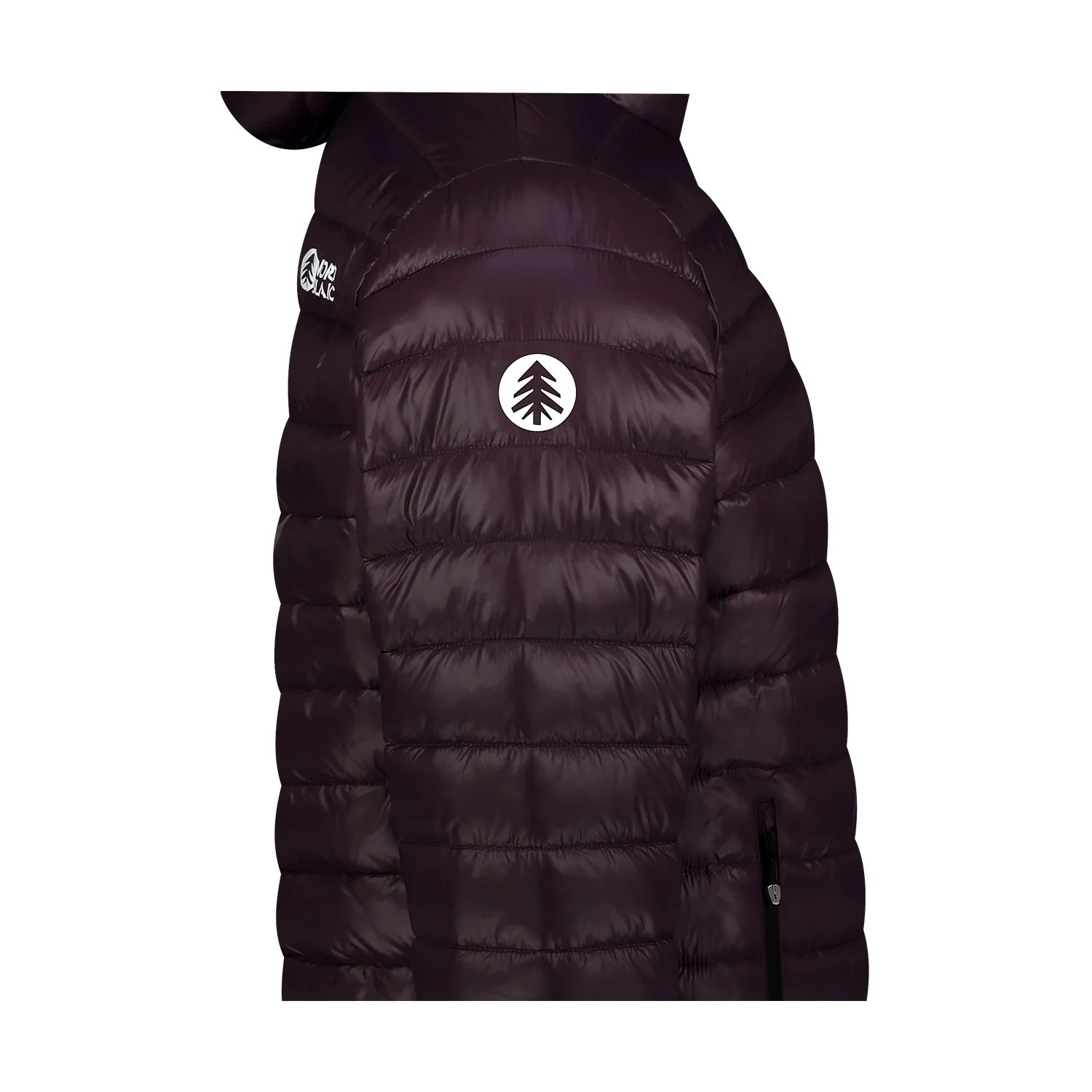 Winter jacket men's - SNARL violet-2