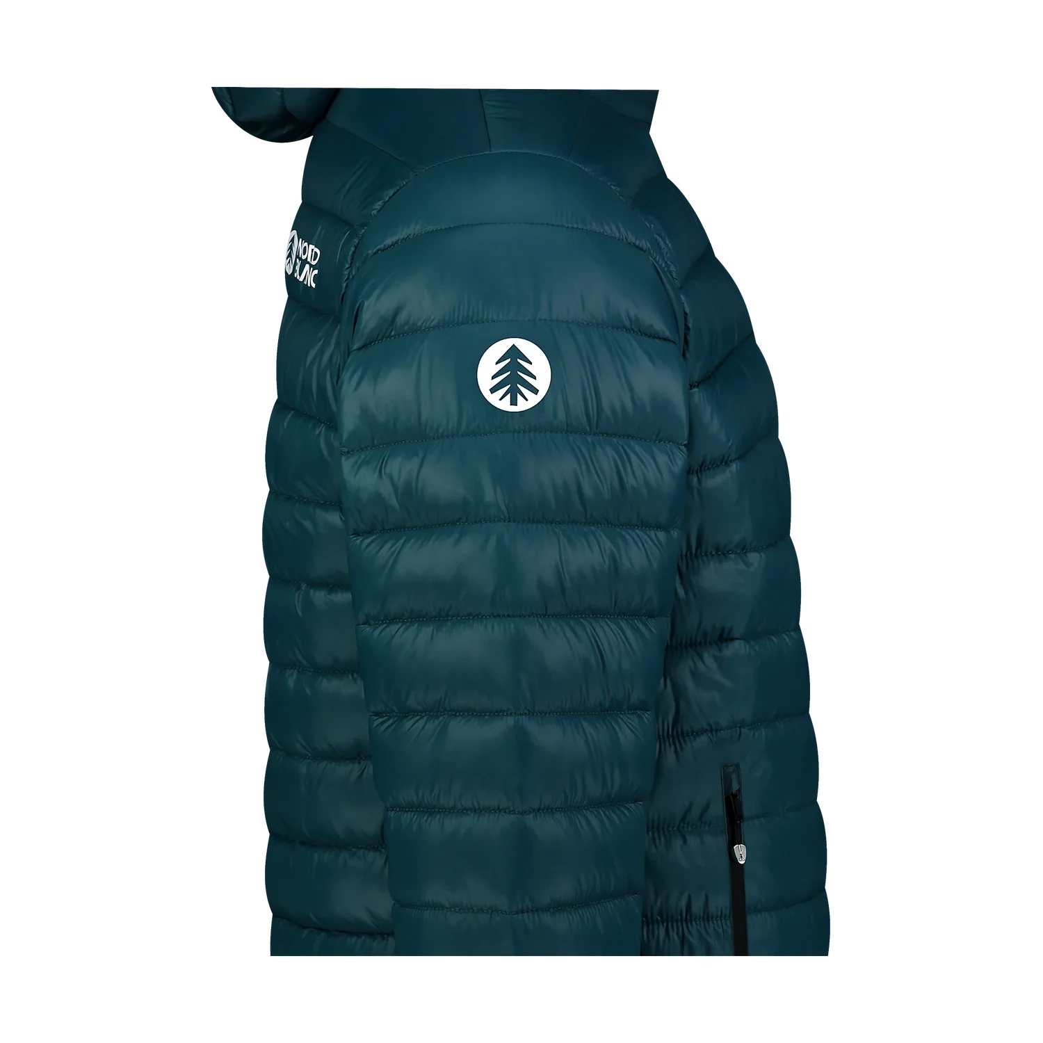 Winter jacket men's - SNARL green-6