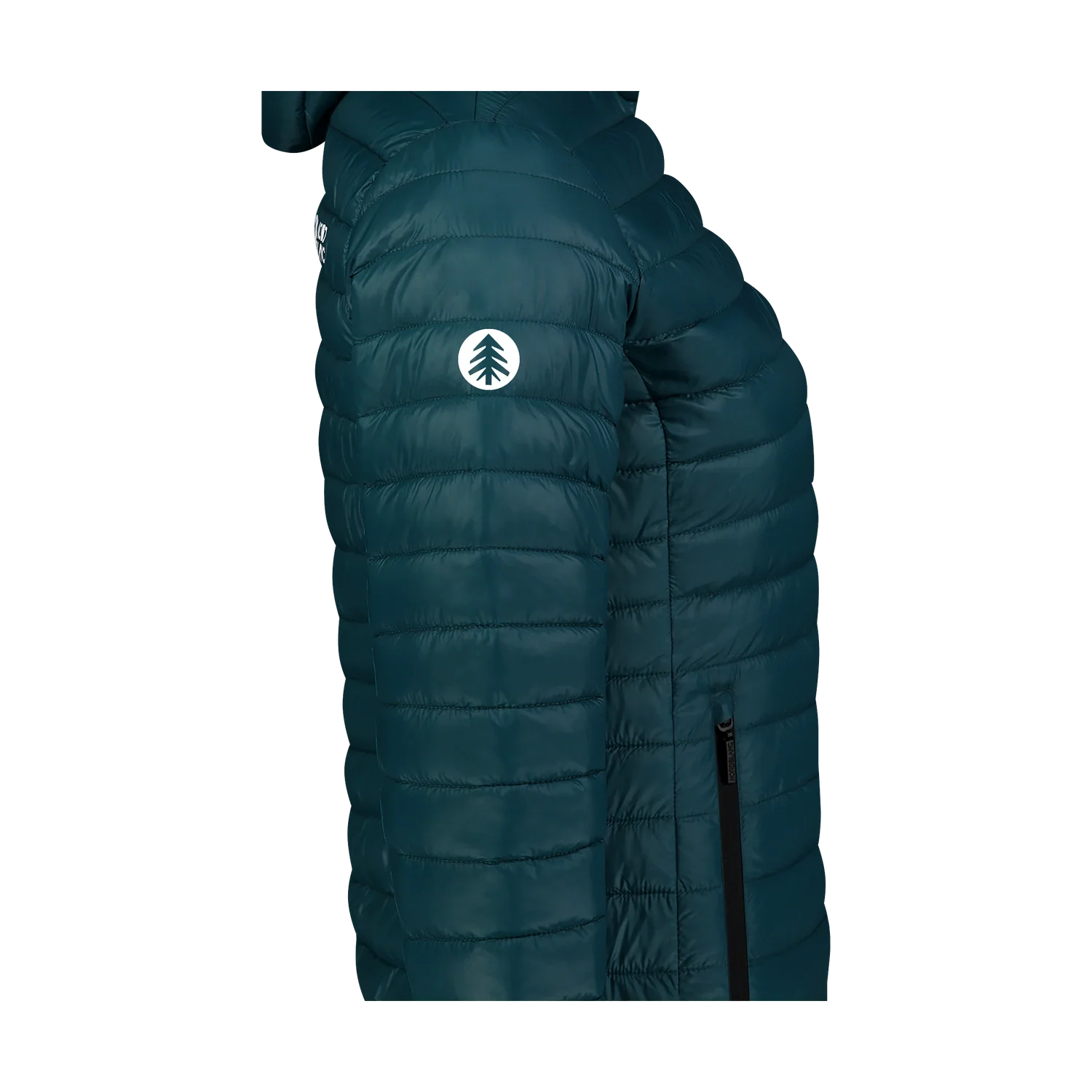 Quilted jacket women's - VALE green-2